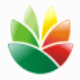 EximiousSoft Logo Designer(Logo设计软件)