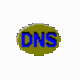 DNSDataView