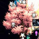 DNF2016春节宠物改Fate人物补丁