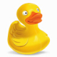cyberduck(ftp服务器) v7.4.1.33072下载
