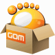 GOM Video Converter