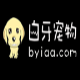 白牙宠物店管理软件 v3.3.5下载