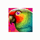 PolyView v4.53下载