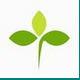 三叶草山东省高中信息技术学业水平考试模拟系统