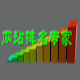 网络排名专家