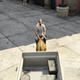GTA5蠢驴载具MOD