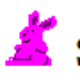 SoundBunny (声音小兔子)
