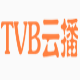 全网VIP视频搜索播放工具