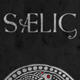 SAELIG无限金钱修改器
