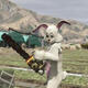 GTA5宾尼兔MOD