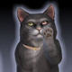 模拟人生4闪闪发光的宠物猫项圈MOD