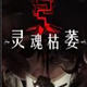 灵魂枯萎四项修改器