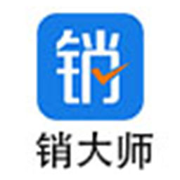 销大师软件