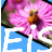 EasyImageSizer(图片压缩软件) v2.1.9下载