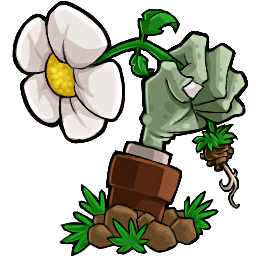 植物大战僵尸雨版修改文件