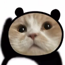 勇敢猫猫不怕困难表情包