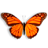 全屏蝴蝶飞舞动态壁纸Butterfly On Desktop