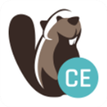 Dbeaver