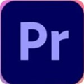 pr2022中文补丁