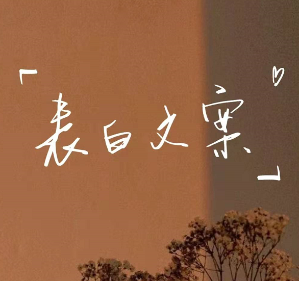 情人节表白文案素材