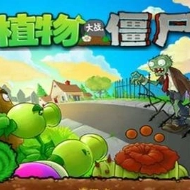 植物大战僵尸95版PC资源