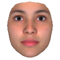 Facegen Artist Pro