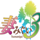 妻中蜜3全cg存档