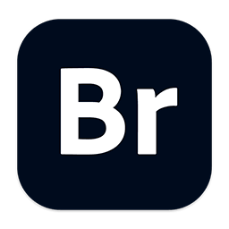Adobe Bridge 2022