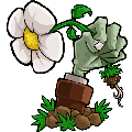 植物大战僵尸年度版