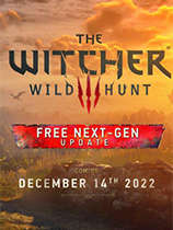 巫师3次世代版附魔部位没有限制MOD