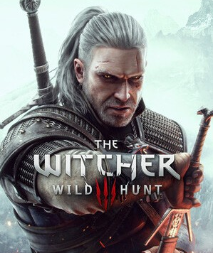 巫师3次世代版更稳定的战斗动画MOD