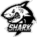 Shark上号器
