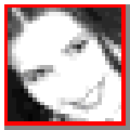 SeltecoBannershopGIFAnimator