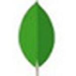 MongoDB