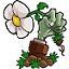 植物大战僵尸95版无限阳光版