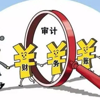 学通审计实务要点从入门到精通课