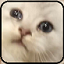 Yome