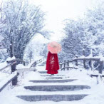 58款古风雪景绝美视频素材