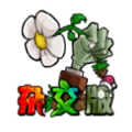 2.3.7植物大战僵尸杂交版