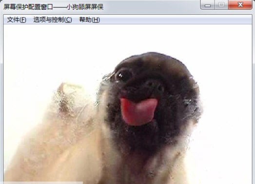 狗狗舔屏幕动态屏保 v1.46 狗狗舔屏幕动态屏保 v1.46