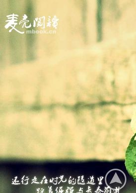 数码管段位计算工具 v3.11 数码管段位计算工具 v3.11