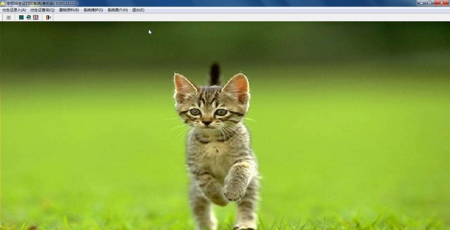 宇阳出生证打印软件 v20121215 宇阳出生证打印软件 v20121215