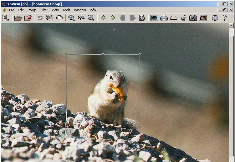 XnView(图像查看器) v2.49.9 XnView(图像查看器) v2.49.9