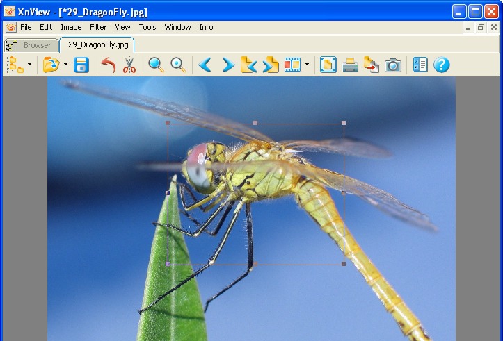 XnView v2.49.7 XnView v2.49.7