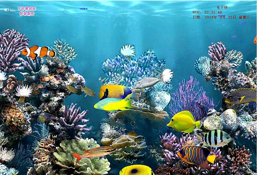 热带鱼水族箱屏幕保护程序 v1.3 热带鱼水族箱屏幕保护程序 v1.3