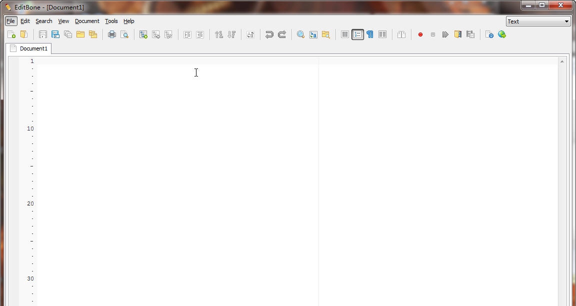 EditBone v12.17.9 EditBone v12.17.9