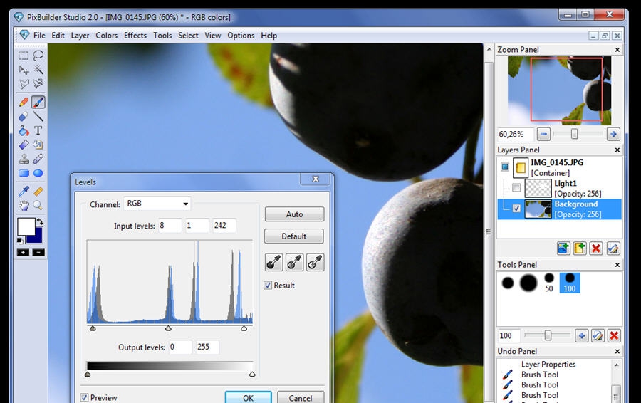 PixBuilder v2.2.4 PixBuilder v2.2.4