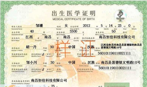 恒佳出生证明管理系统 2014 v3.13 恒佳出生证明管理系统 2014 v3.13