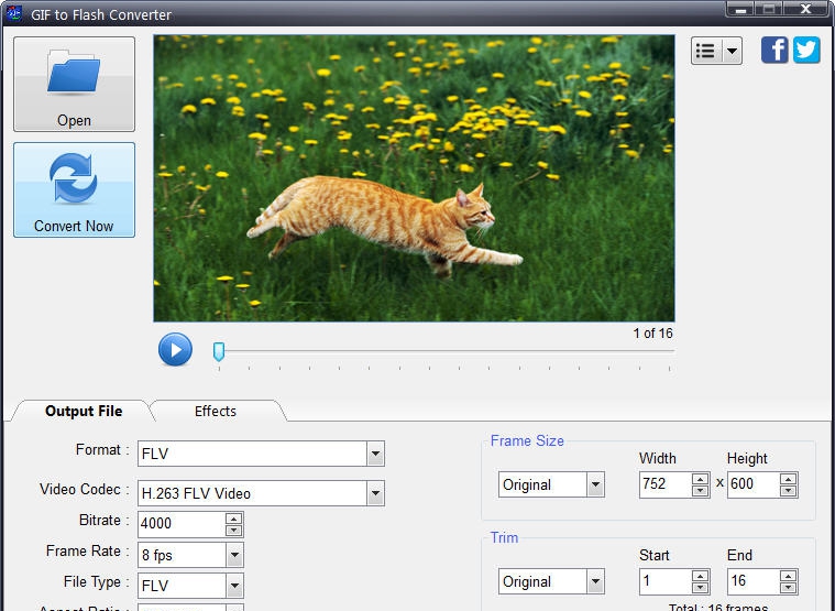 GIF to Flash Converter v4.2.0.4 GIF to Flash Converter v4.2.0.4