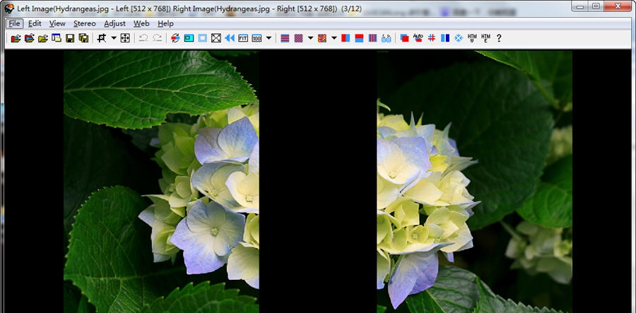 Stereo Photo Maker(立体图形编辑器) v5.15 Stereo Photo Maker(立体图形编辑器) v5.15